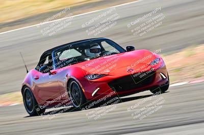 media/Mar-23-2025-West Coast Racing (Sun) [[de161b708f]]/Blue Group/Session 3 (Turns 3 and 5)/